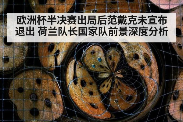 欧洲杯半决赛出局后范戴克未宣布退出 荷兰队长国家队前景深度分析